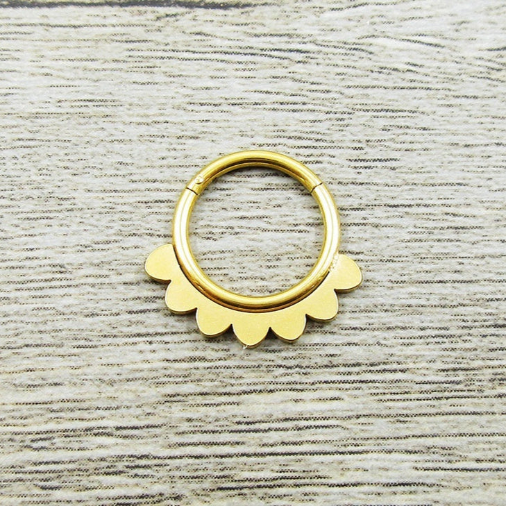 Stainless Steel Nose Ring Earrings Body Piercing