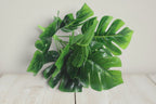 Artificial Plants Green Turtle Leaves | Orazek UK Ltd