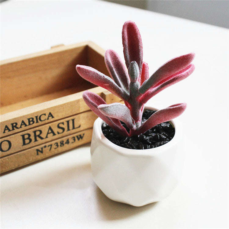 Artificial Succulent Bonsai Creative Ornaments for Home Table Garden Decoration Artificial Plants with Pot | Orazek UK Ltd