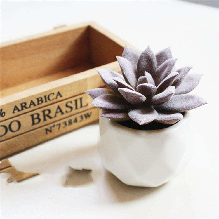 Artificial Succulent Bonsai Creative Ornaments for Home Table Garden Decoration Artificial Plants with Pot | Orazek UK Ltd