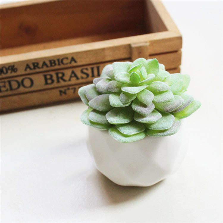 Artificial Succulent Bonsai Creative Ornaments for Home Table Garden Decoration Artificial Plants with Pot | Orazek UK Ltd