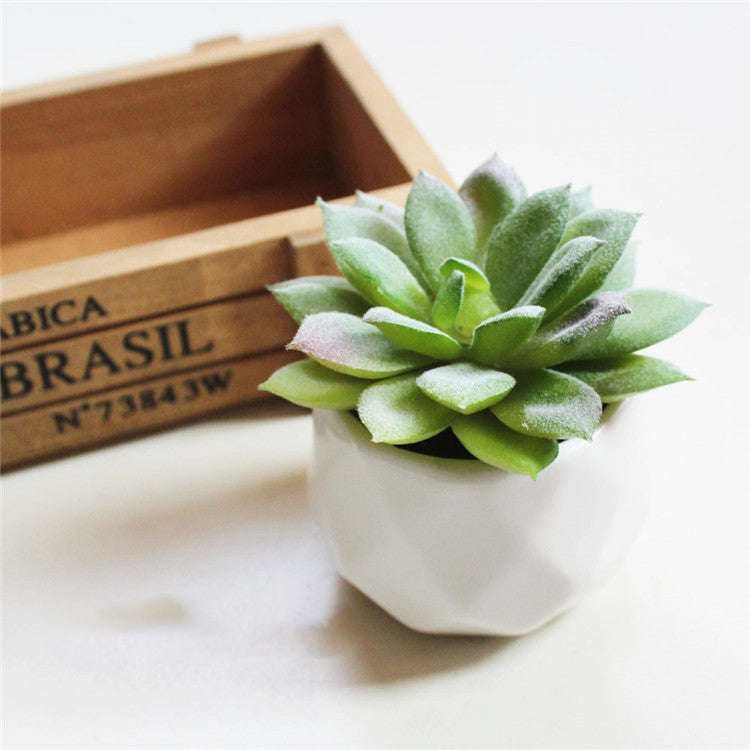 Artificial Succulent Bonsai Creative Ornaments for Home Table Garden Decoration Artificial Plants with Pot | Orazek UK Ltd