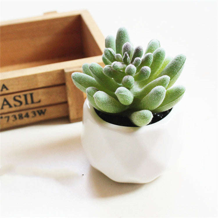 Artificial Succulent Bonsai Creative Ornaments for Home Table Garden Decoration Artificial Plants with Pot | Orazek UK Ltd