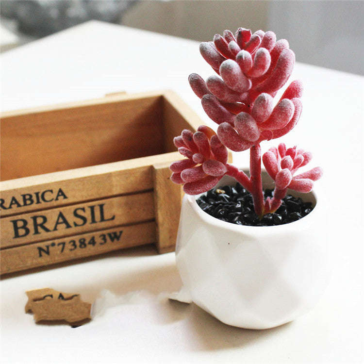 Artificial Succulent Bonsai Creative Ornaments for Home Table Garden Decoration Artificial Plants with Pot | Orazek UK Ltd