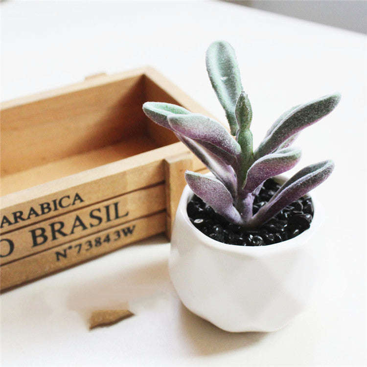 Artificial Succulent Bonsai Creative Ornaments for Home Table Garden Decoration Artificial Plants with Pot | Orazek UK Ltd
