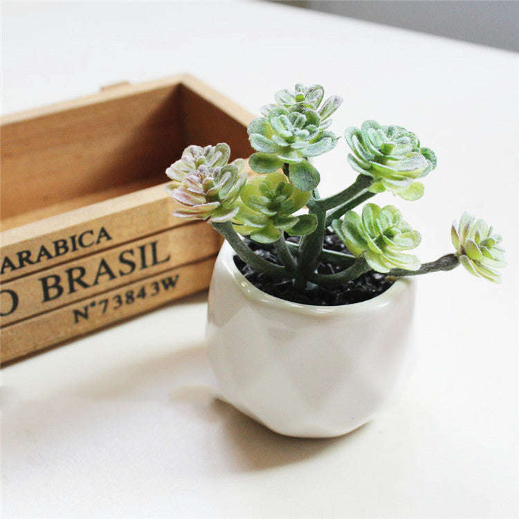 Artificial Succulent Bonsai Creative Ornaments for Home Table Garden Decoration Artificial Plants with Pot | Orazek UK Ltd