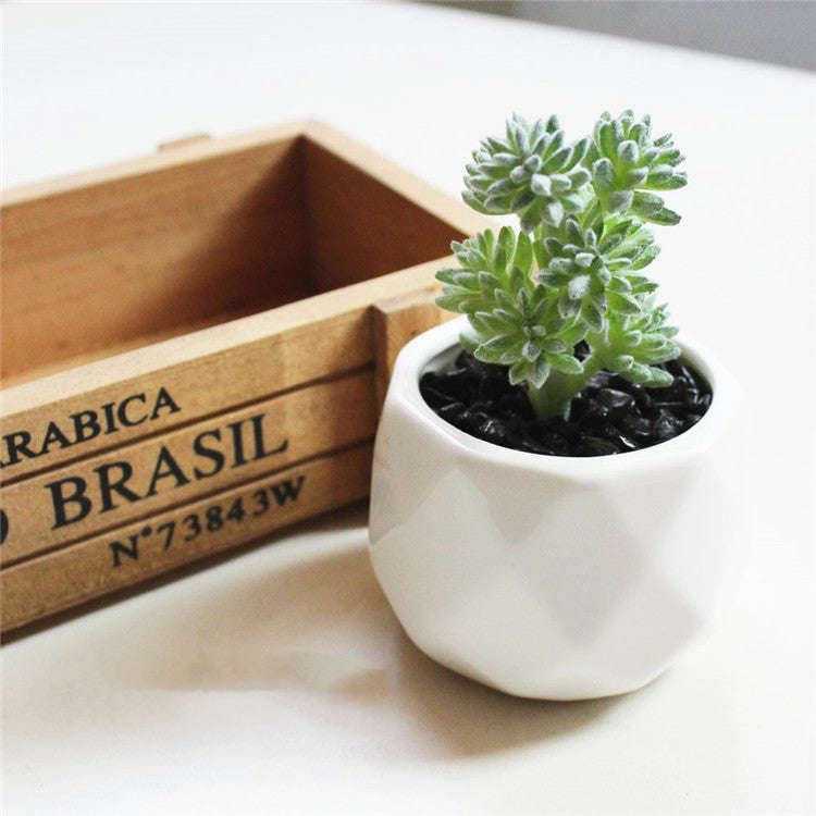 Artificial Succulent Bonsai Creative Ornaments for Home Table Garden Decoration Artificial Plants with Pot Orazek UK Ltd