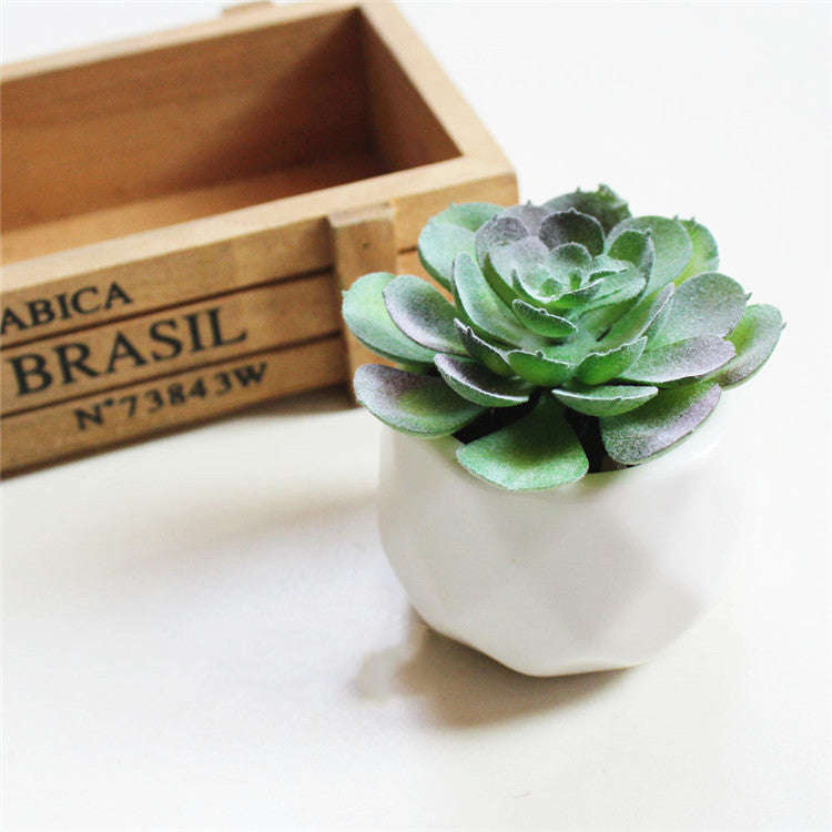 Artificial Succulent Bonsai Creative Ornaments for Home Table Garden Decoration Artificial Plants with Pot Orazek UK Ltd