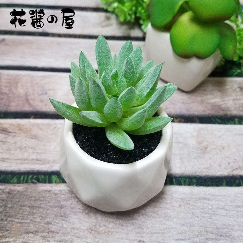 Artificial Succulent Bonsai Creative Ornaments for Home Table Garden Decoration Artificial Plants with Pot Orazek UK Ltd