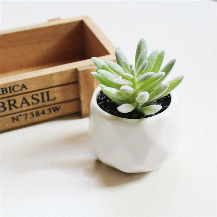 Artificial Succulent Bonsai Creative Ornaments for Home Table Garden Decoration Artificial Plants with Pot Orazek UK Ltd