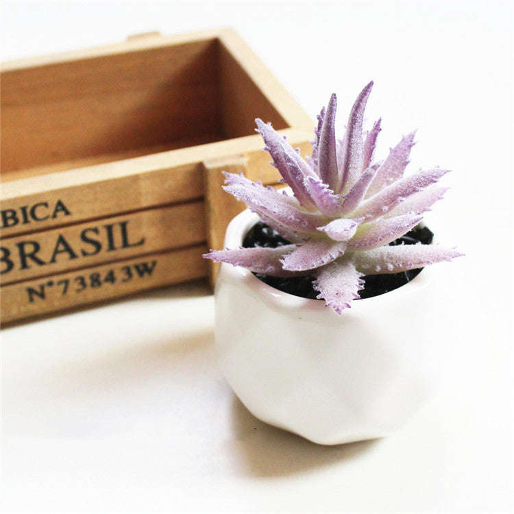 Artificial Succulent Bonsai Creative Ornaments for Home Table Garden Decoration Artificial Plants with Pot Orazek UK Ltd