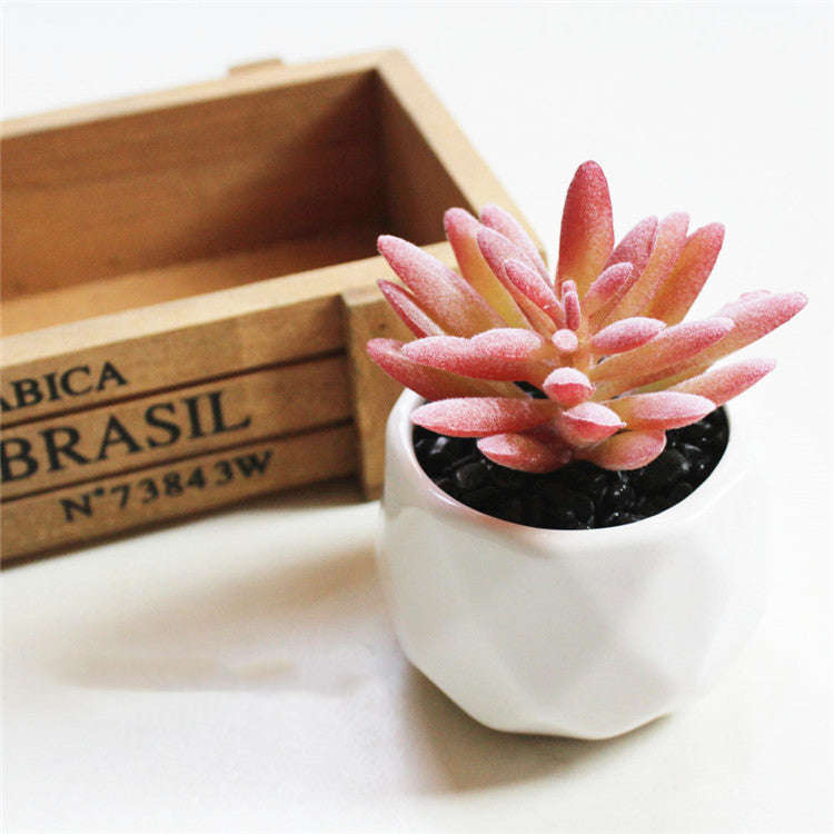Artificial Succulent Bonsai Creative Ornaments for Home Table Garden Decoration Artificial Plants with Pot Orazek UK Ltd