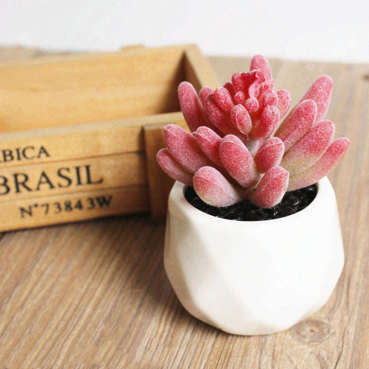 Artificial Succulent Bonsai Creative Ornaments for Home Table Garden Decoration Artificial Plants with Pot Orazek UK Ltd