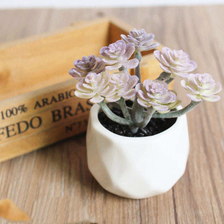 Artificial Succulent Bonsai Creative Ornaments for Home Table Garden Decoration Artificial Plants with Pot Orazek UK Ltd