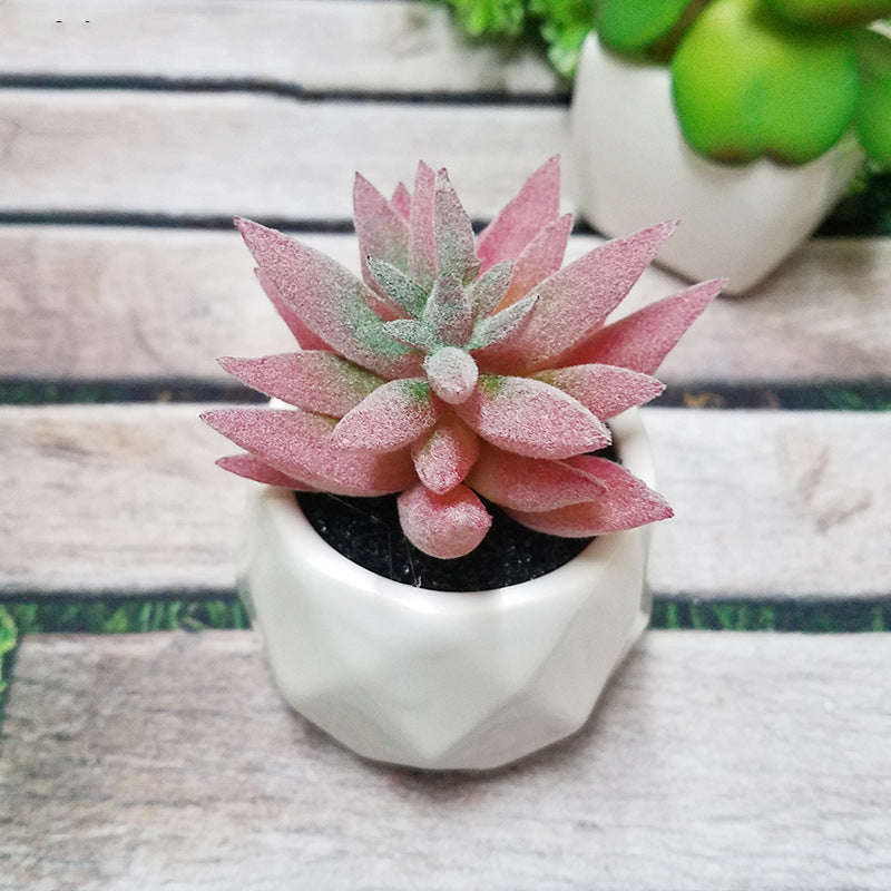 Artificial Succulent Bonsai Creative Ornaments for Home Table Garden Decoration Artificial Plants with Pot Orazek UK Ltd