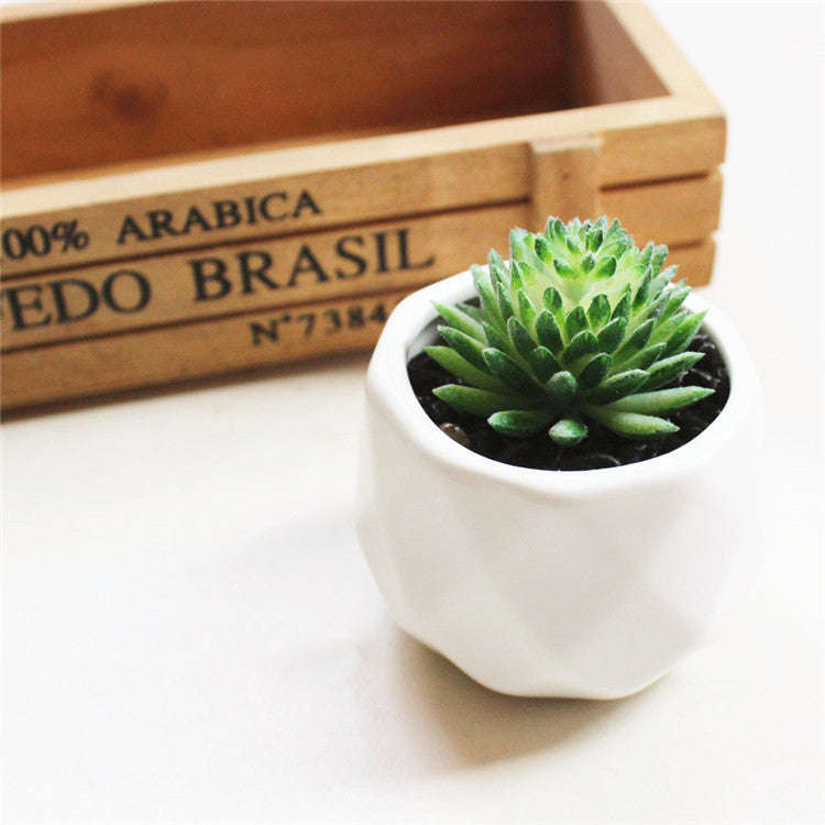 Artificial Succulent Bonsai Creative Ornaments for Home Table Garden Decoration Artificial Plants with Pot Orazek UK Ltd