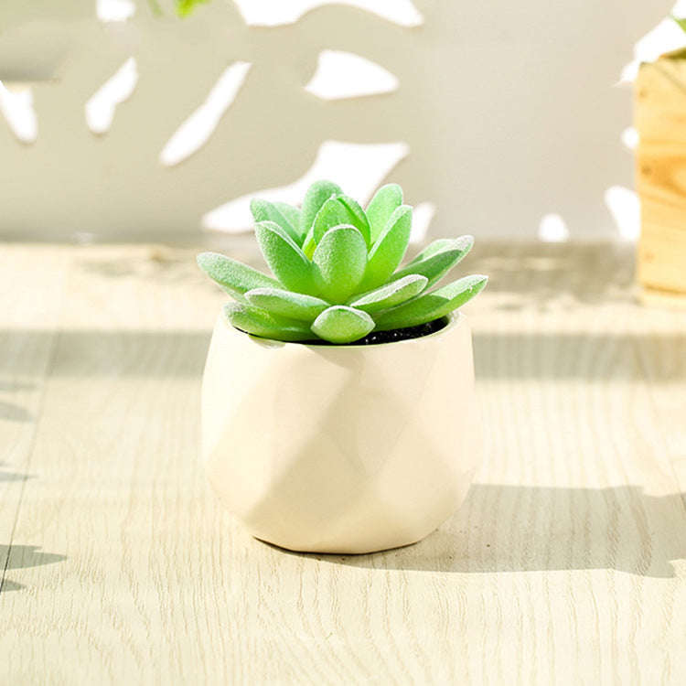 Artificial Succulent Bonsai Creative Ornaments for Home Table Garden Decoration Artificial Plants with Pot Orazek UK Ltd
