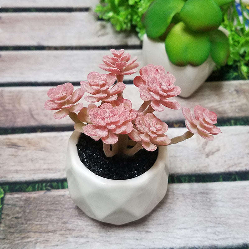Artificial Succulent Bonsai Creative Ornaments for Home Table Garden Decoration Artificial Plants with Pot Orazek UK Ltd