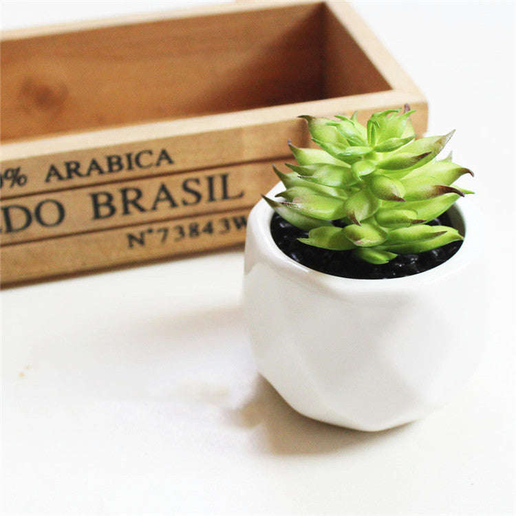 Artificial Succulent Bonsai Creative Ornaments for Home Table Garden Decoration Artificial Plants with Pot Orazek UK Ltd