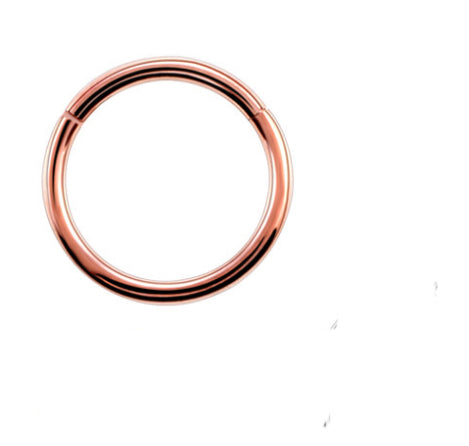 Stainless Steel Pierced Nose Ring Interface Ring Closed Ring Seamless Connection Nose Ring Earrings