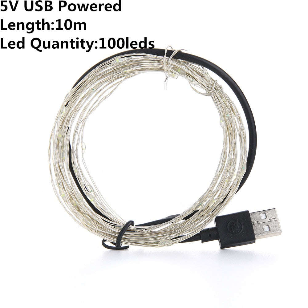 Christmas Light Led Outdoor Battery USB Powered 2m 5m10m String Lights Cooper Wire Garland Wedding Party Decoration Fairy Lights Orazek UK Ltd