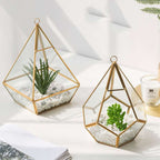 Home Succulent Decoration Bonsai Decoration | Orazek UK Ltd