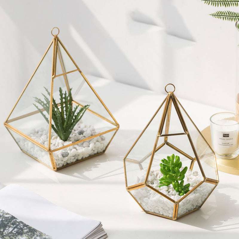 Home Succulent Decoration Bonsai Decoration | Orazek UK Ltd