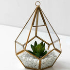 Home Succulent Decoration Bonsai Decoration | Orazek UK Ltd
