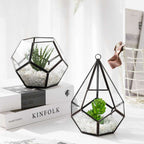 Home Succulent Decoration Bonsai Decoration | Orazek UK Ltd