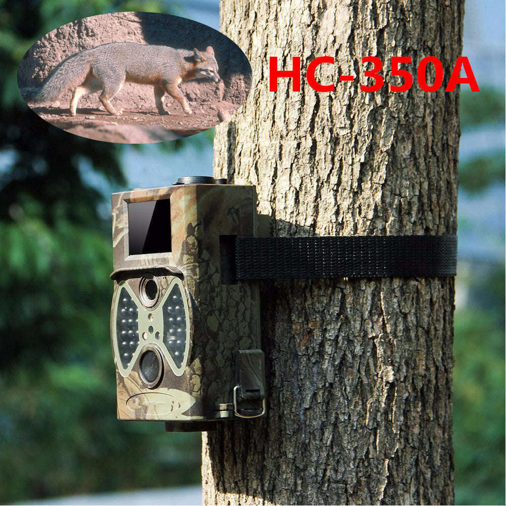 Indoor And Outdoor Security Surveillance Cameras Orazek UK Ltd