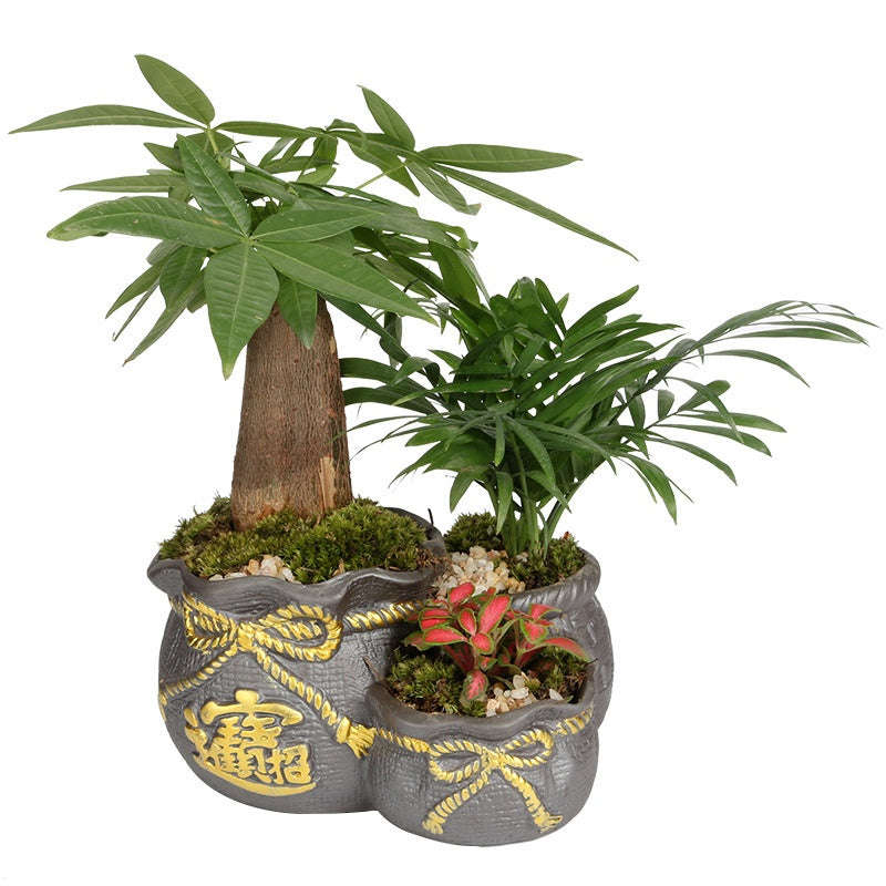 Indoor Black Purple Sand Orchid Pots High Leg Succulent Plant Ceramic | Orazek UK Ltd