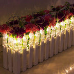 LED Photo Holder String Lights | Orazek UK Ltd