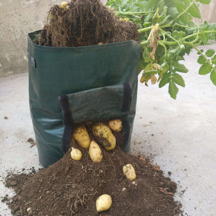 PE cloth garden planting bag | Orazek UK Ltd