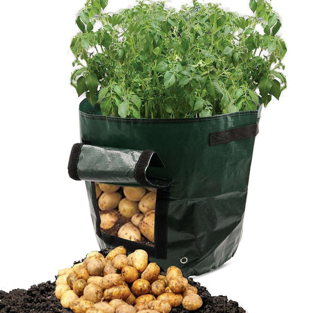 PE cloth garden planting bag | Orazek UK Ltd