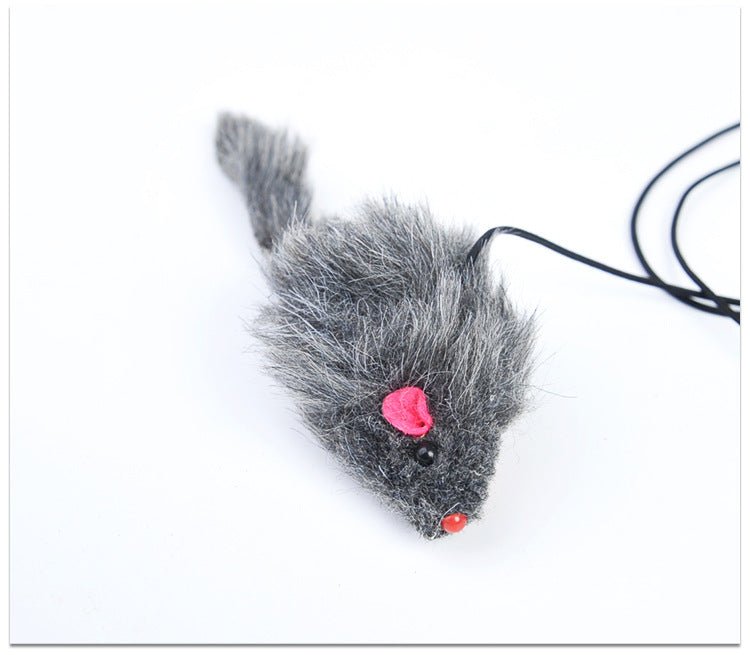 Pet Telescopic Hanging Door Small Mouse Pets Cat Toy | Orazek UK Ltd