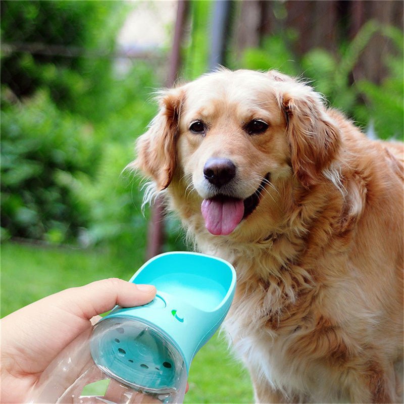 Pet Water Cup Outdoor Portable Water Bottle | Orazek UK Ltd