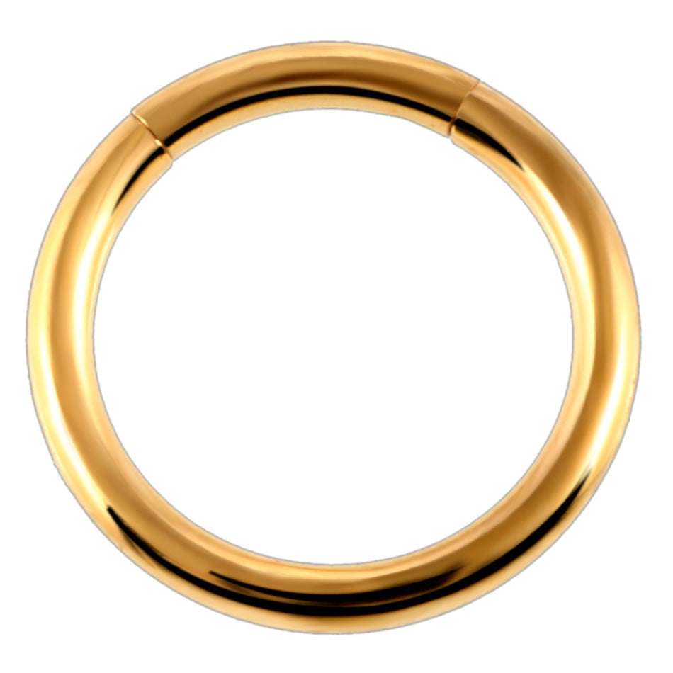 Stainless Steel Pierced Nose Ring Interface Ring Closed Ring Seamless Connection Nose Ring Earrings | Orazek UK Ltd