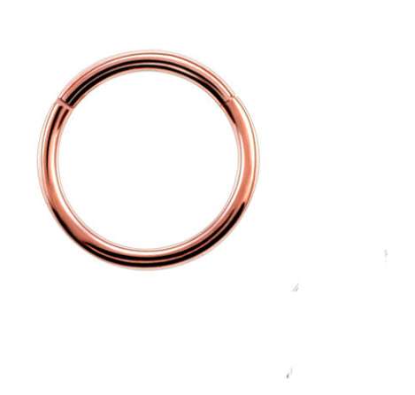 Stainless Steel Pierced Nose Ring Interface Ring Closed Ring Seamless Connection Nose Ring Earrings | Orazek UK Ltd