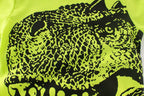 Summer Children's Short Sleeve T Shirt For Boys | Orazek UK Ltd