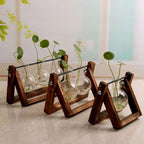 Swing Wooden Stand Hydroponic Plant Container Glass Vase Orazek UK Ltd