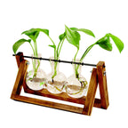 Swing Wooden Stand Hydroponic Plant Container Glass Vase Orazek UK Ltd