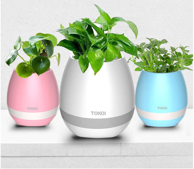 Touch-sensitive music vase desktop audio | Orazek UK Ltd