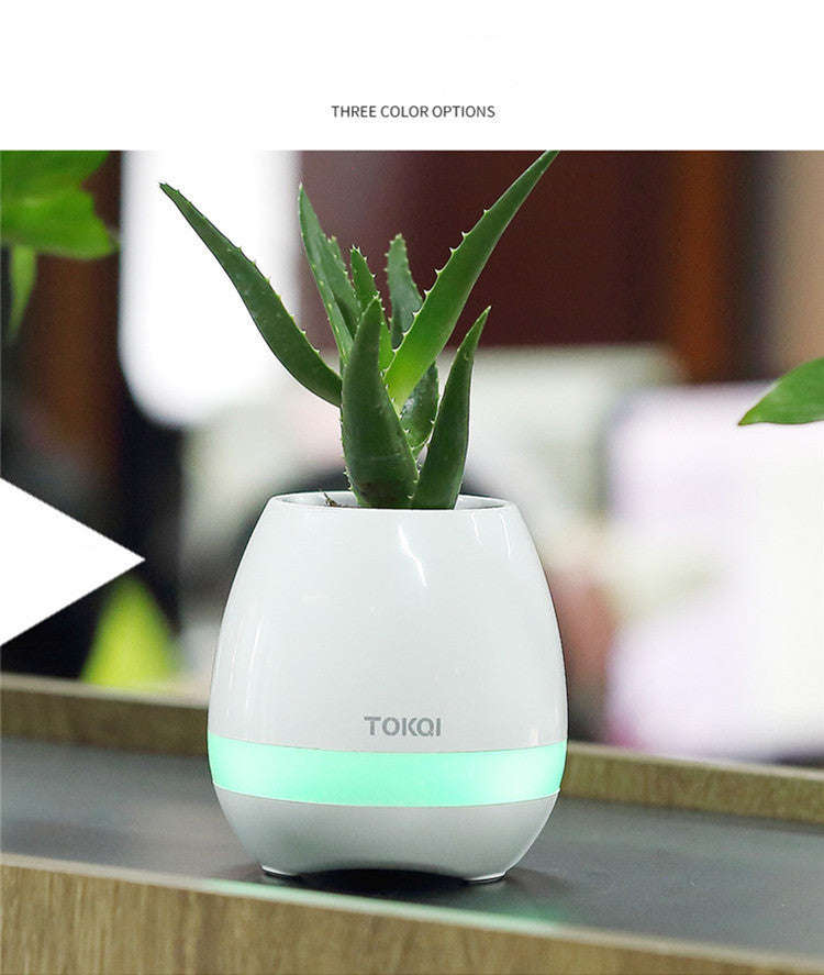 Touch-sensitive music vase desktop audio | Orazek UK Ltd