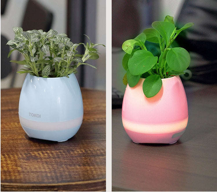 Touch-sensitive music vase desktop audio | Orazek UK Ltd